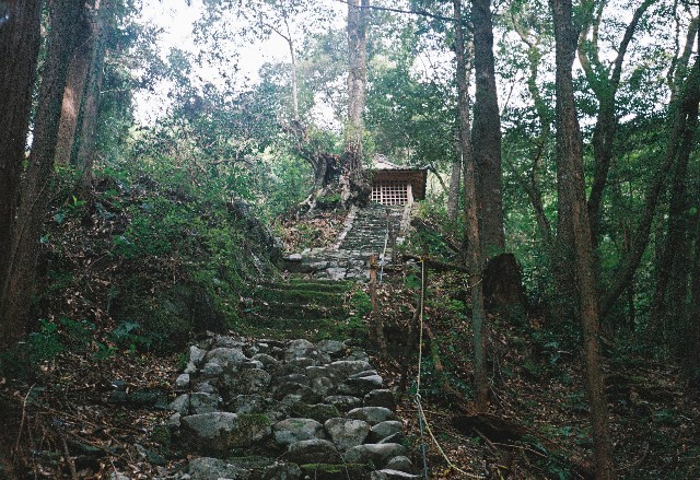 f:id:yukidarumasergeant:20251107165222j:image