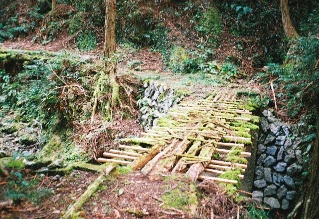 f:id:yukidarumasergeant:20251107165259j:image