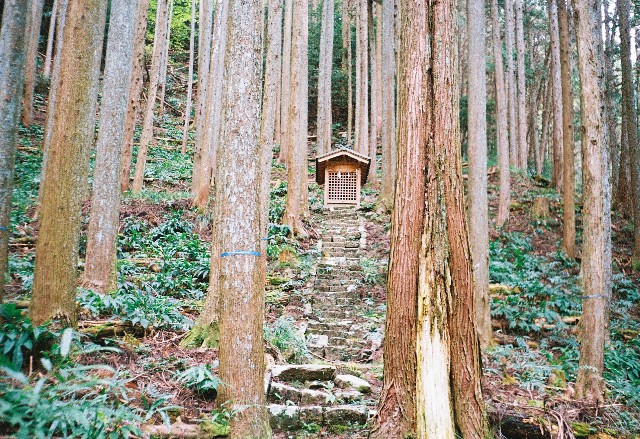 f:id:yukidarumasergeant:20251107165314j:image