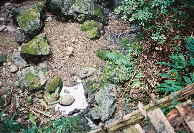 f:id:yukidarumasergeant:20251107165343j:image