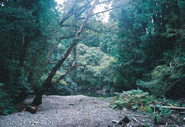 f:id:yukidarumasergeant:20251107165428j:image