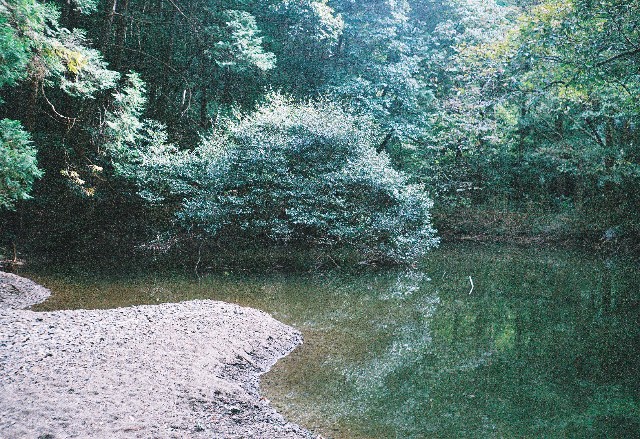 f:id:yukidarumasergeant:20251107165546j:image