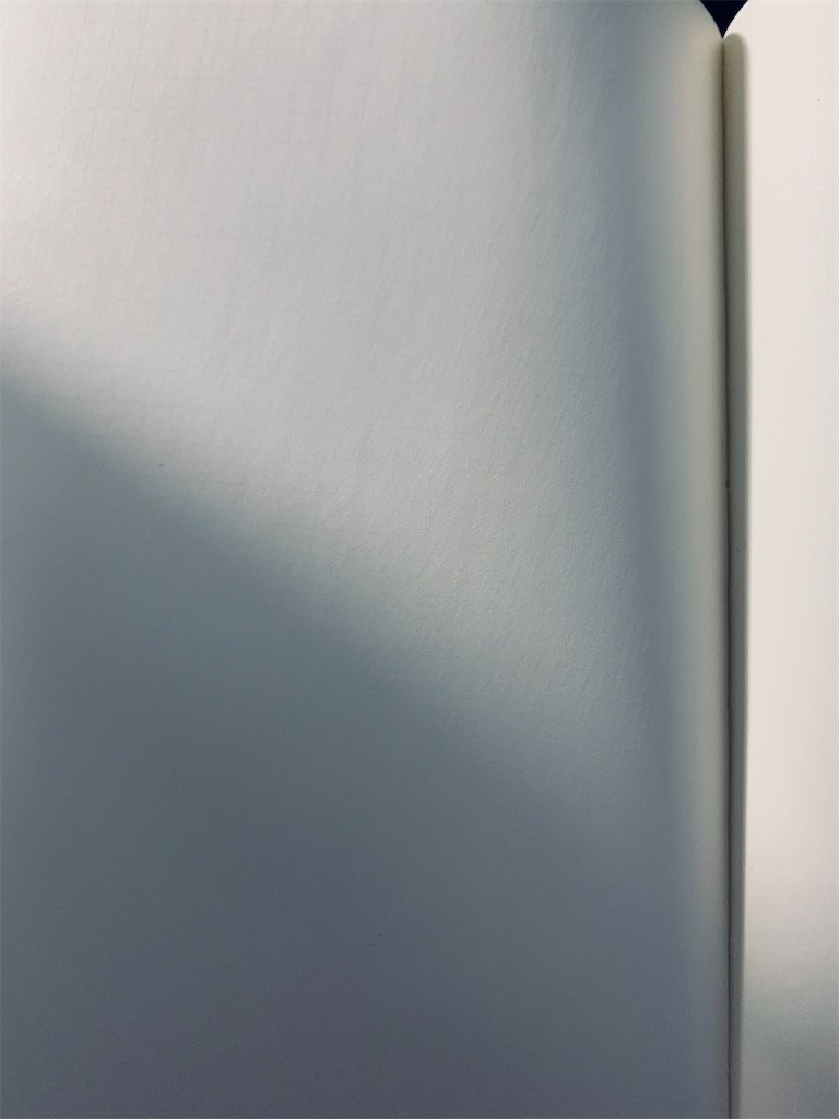 f:id:yukidasan:20201204224630j:image