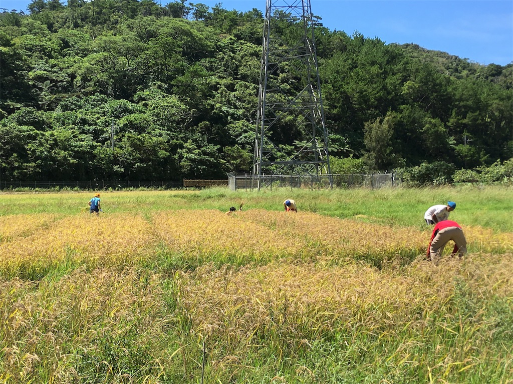 f:id:yukie-ysv:20180715235539j:image