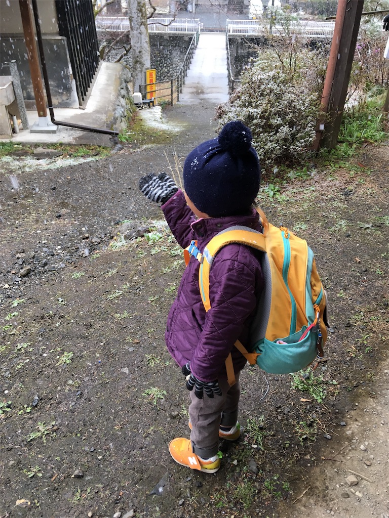 f:id:yukie-ysv:20190410095504j:image