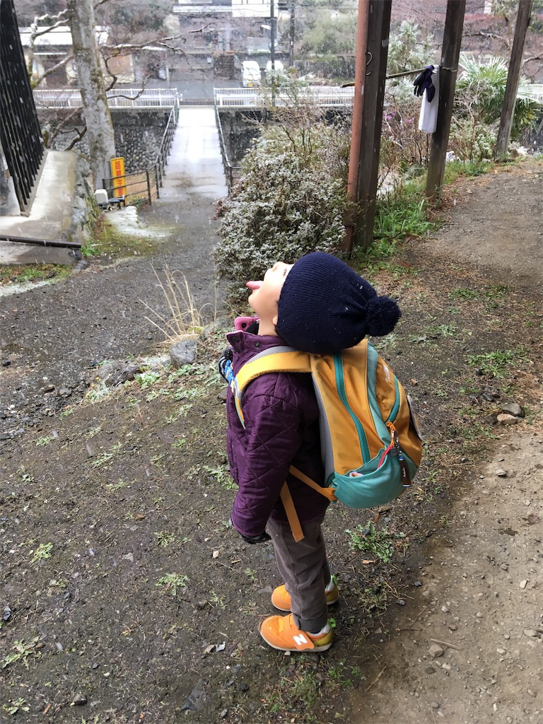 f:id:yukie-ysv:20190410095510j:image