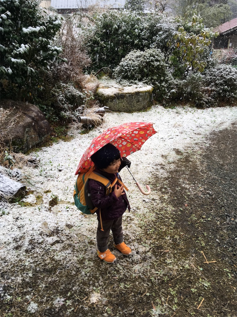 f:id:yukie-ysv:20190410095517j:image