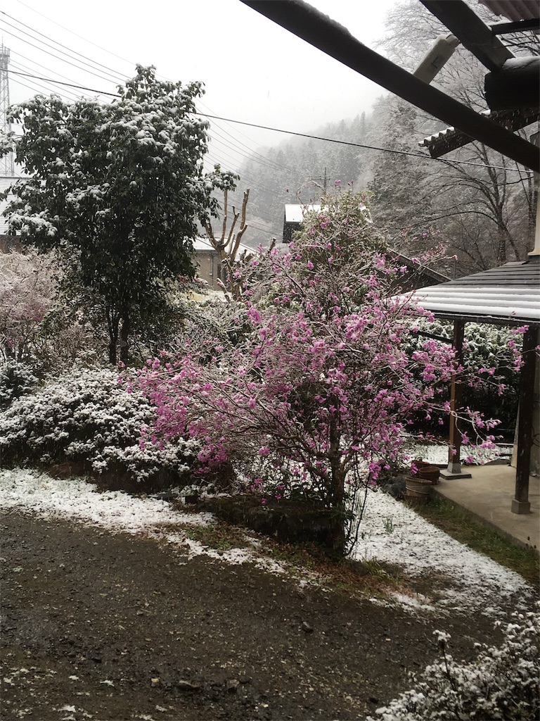 f:id:yukie-ysv:20190410100548j:image