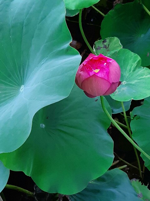 f:id:yukifumi:20210925110939j:image f:id:yukifumi:20210925110939j:image