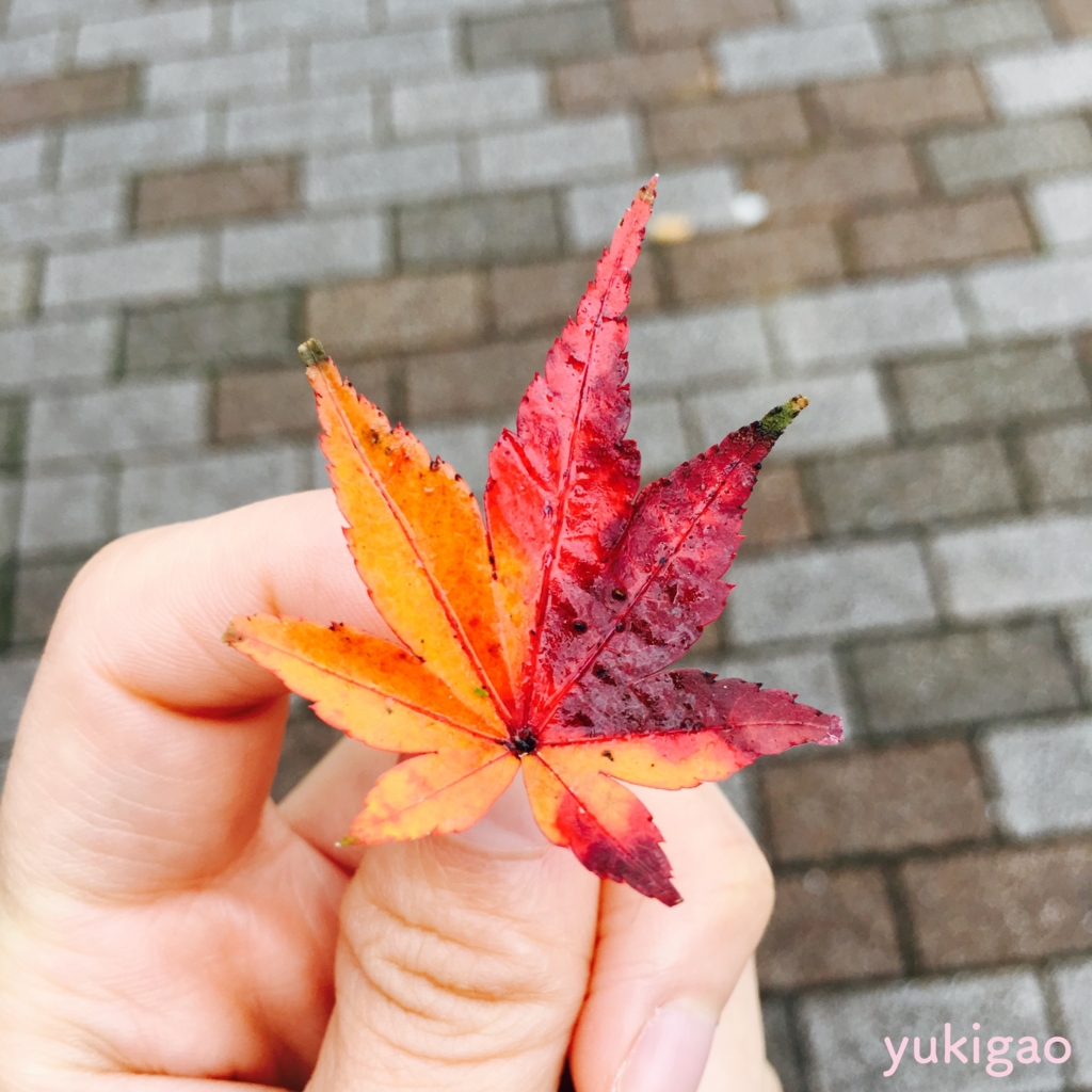 f:id:yukigao:20170102134314j:plain f:id:yukigao:20170102134314j:plain