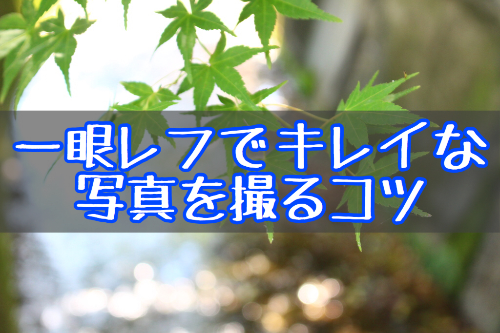 f:id:yukigao:20170629234826j:plain f:id:yukigao:20170629234826j:plain