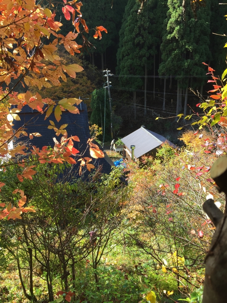 f:id:yukihatu:20171120044034j:plain