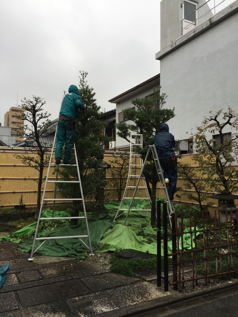 f:id:yukihatu:20171122044858j:plain