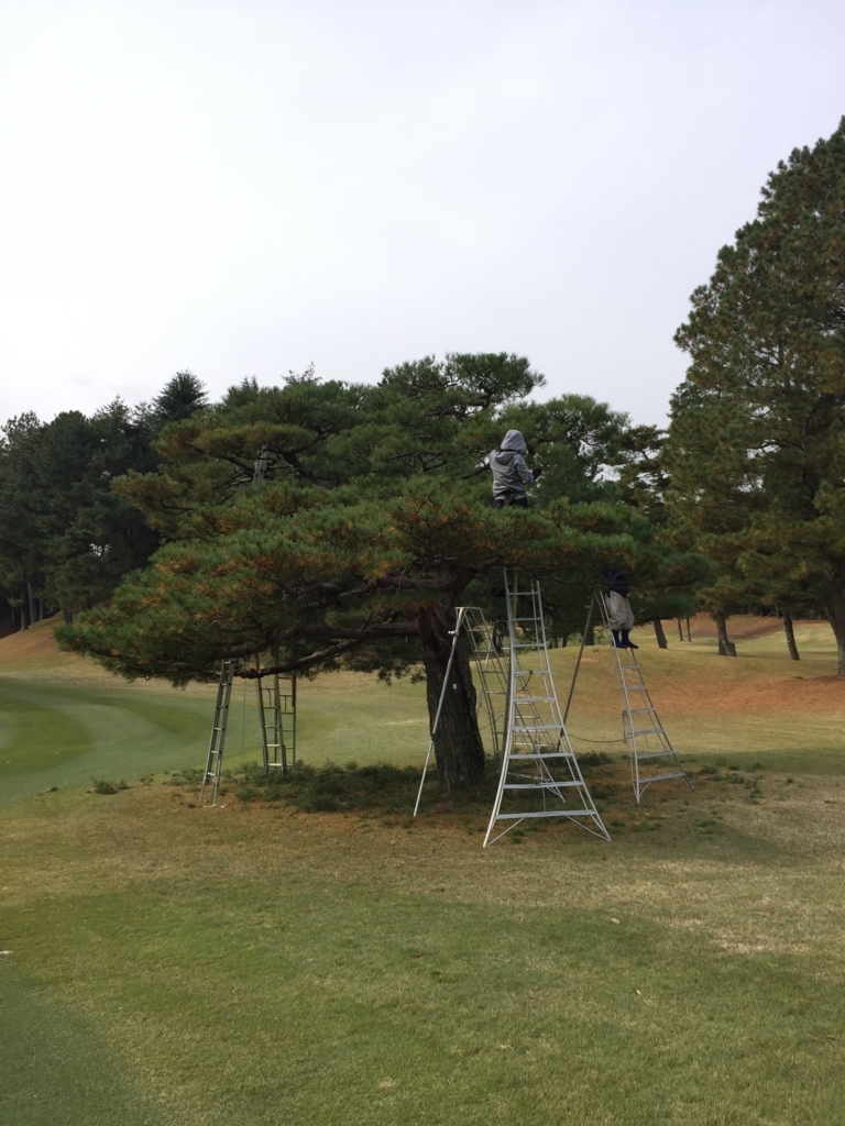 f:id:yukihatu:20171125053519j:plain