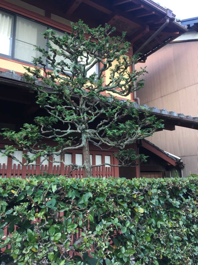 f:id:yukihatu:20171213050651j:plain