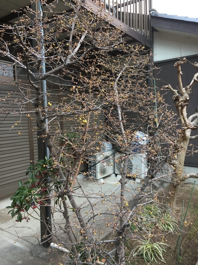 f:id:yukihatu:20171221044800j:plain