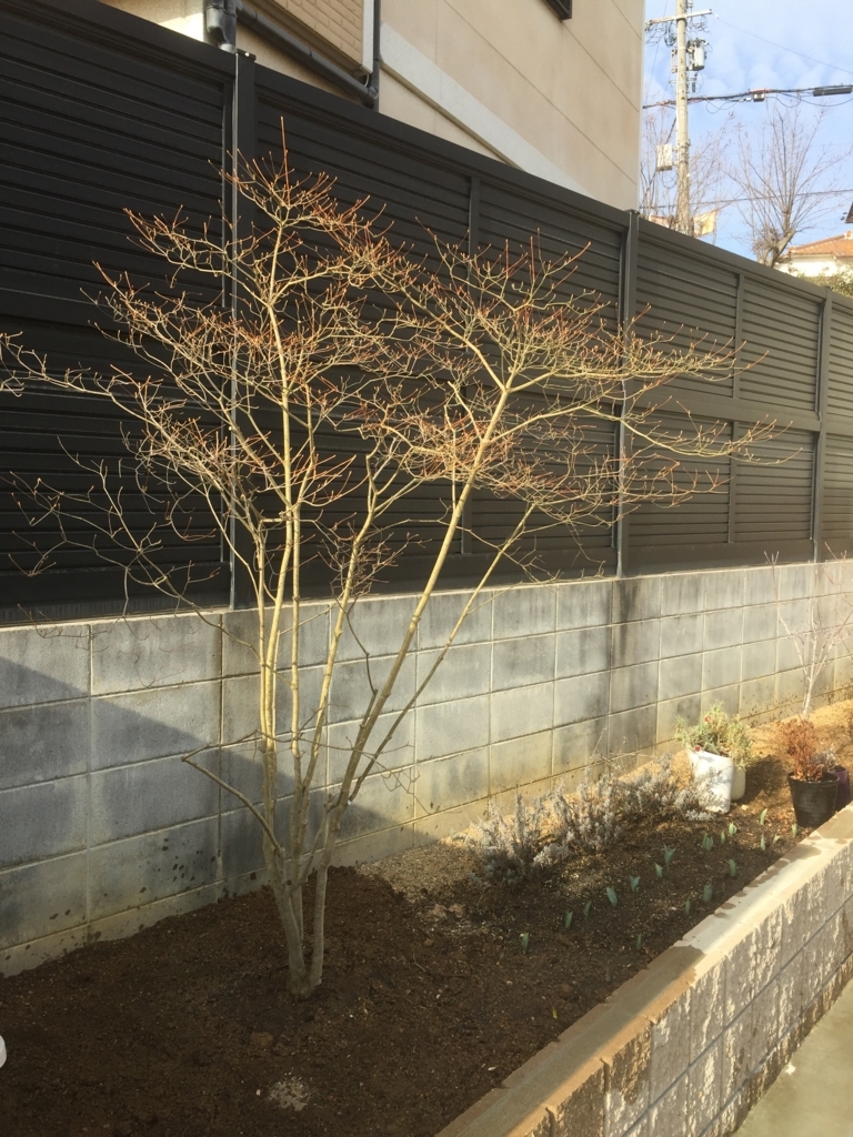 f:id:yukihatu:20180416001929j:plain