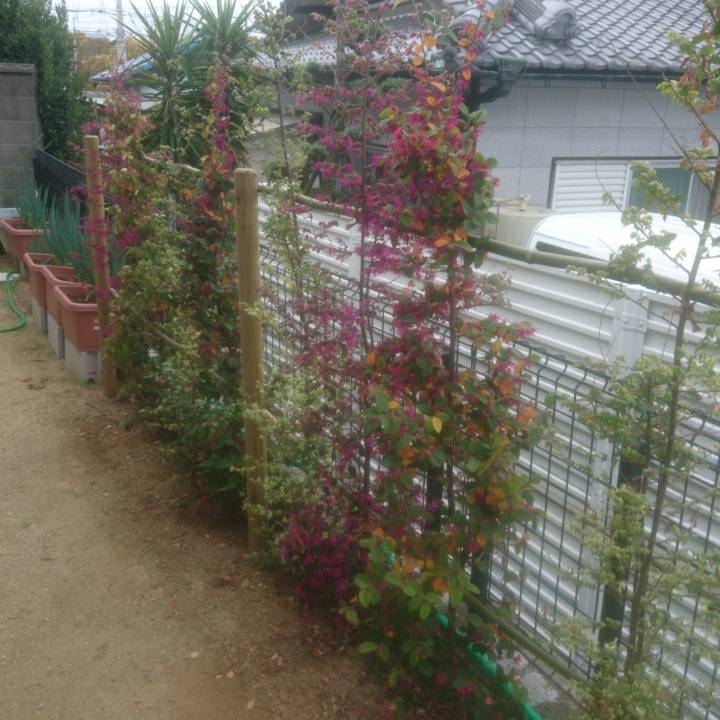 f:id:yukihatu:20180416002139j:plain