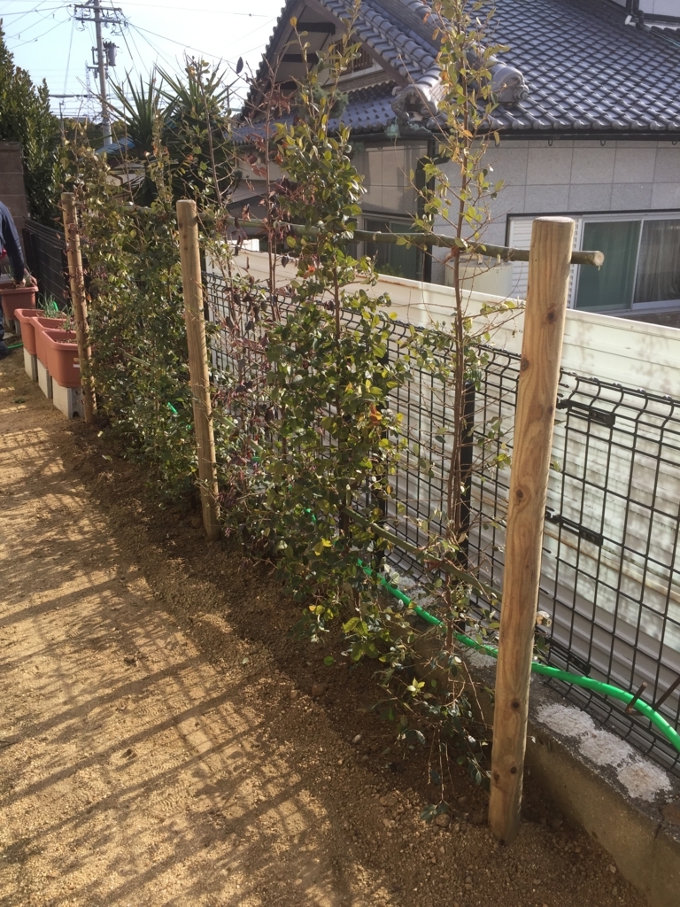 f:id:yukihatu:20180416002218j:plain