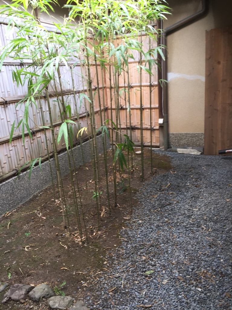 f:id:yukihatu:20180721033243j:plain