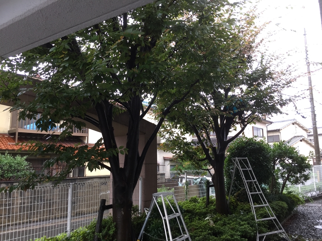 f:id:yukihatu:20180917151555j:plain