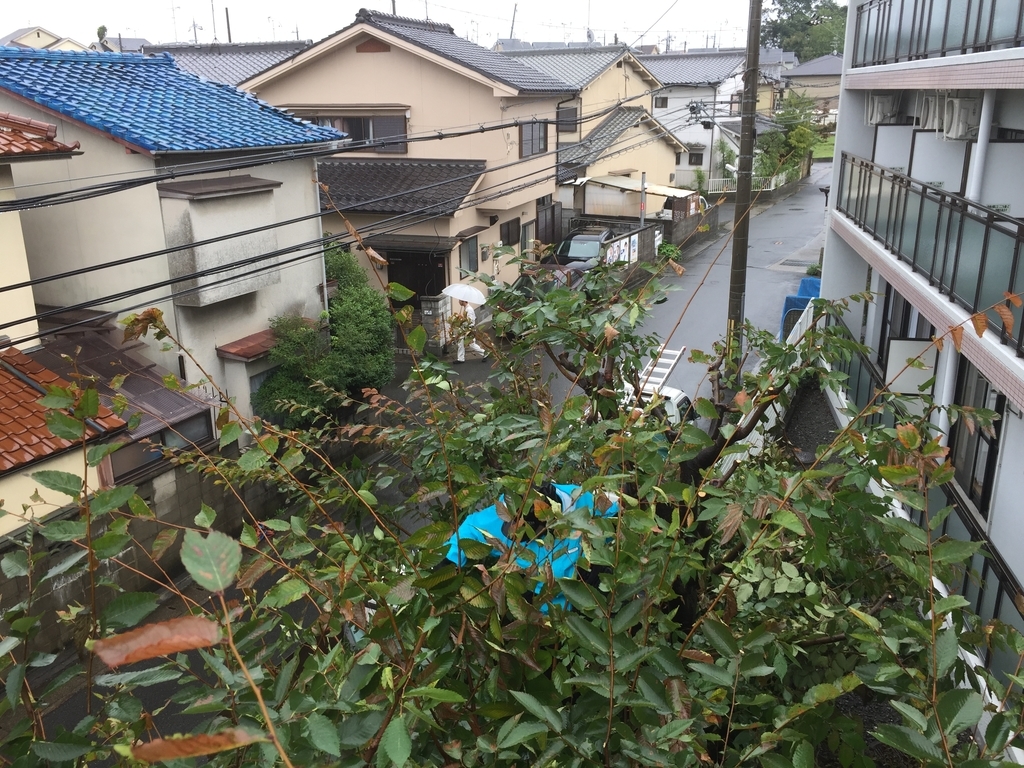 f:id:yukihatu:20180917151629j:plain