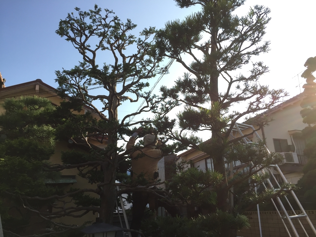 f:id:yukihatu:20181002192843j:plain