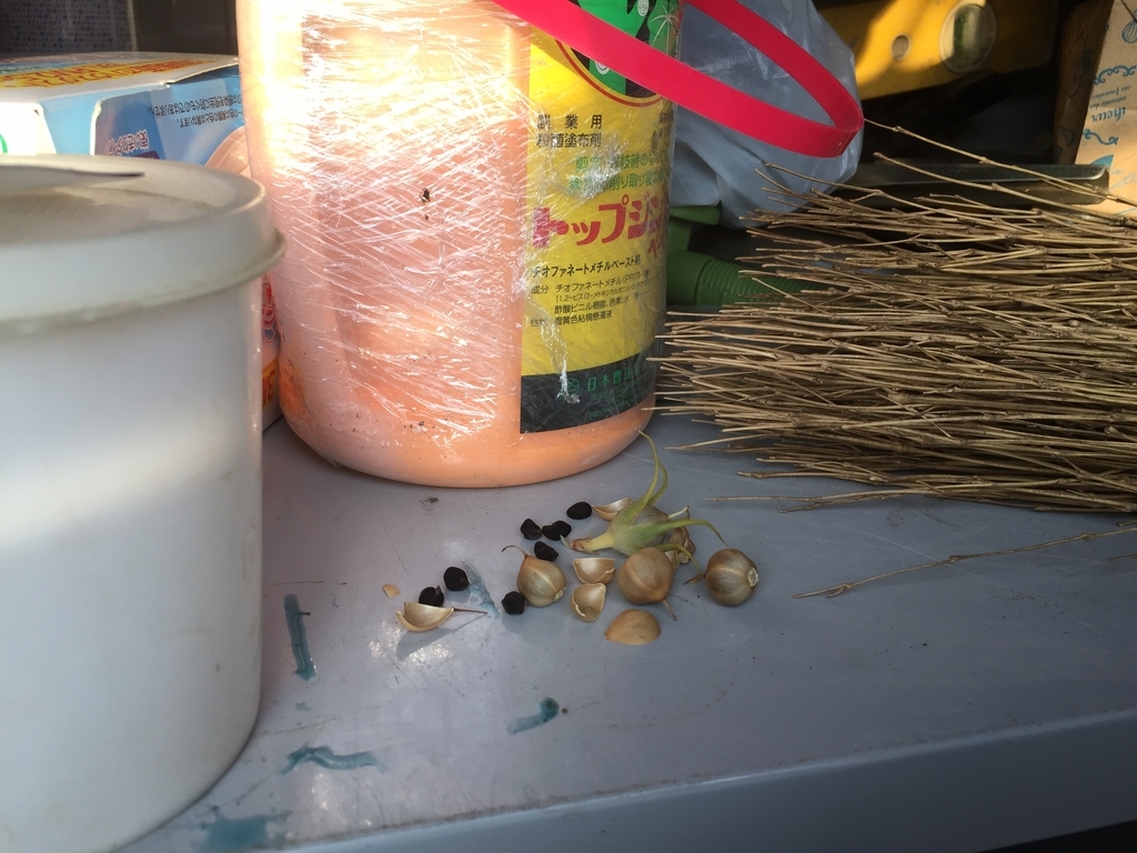 f:id:yukihatu:20181012215145j:plain