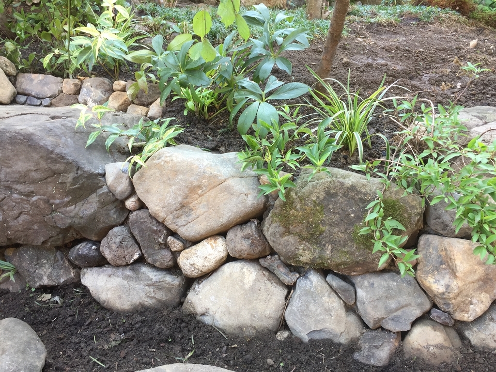 f:id:yukihatu:20181014075203j:plain