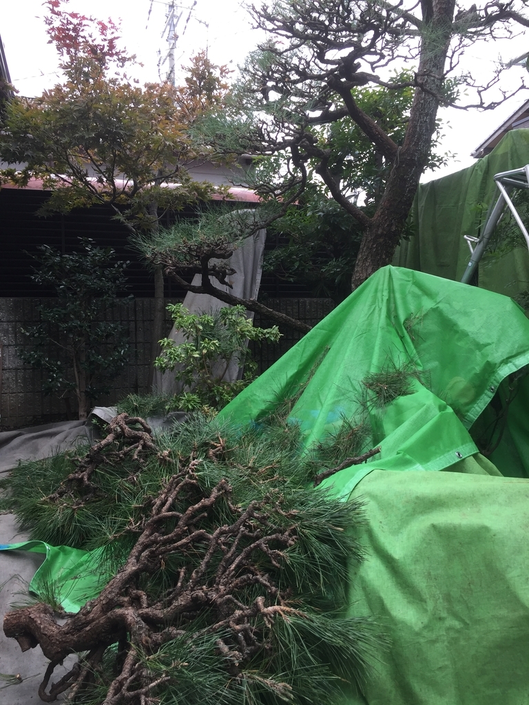 f:id:yukihatu:20181019221415j:plain