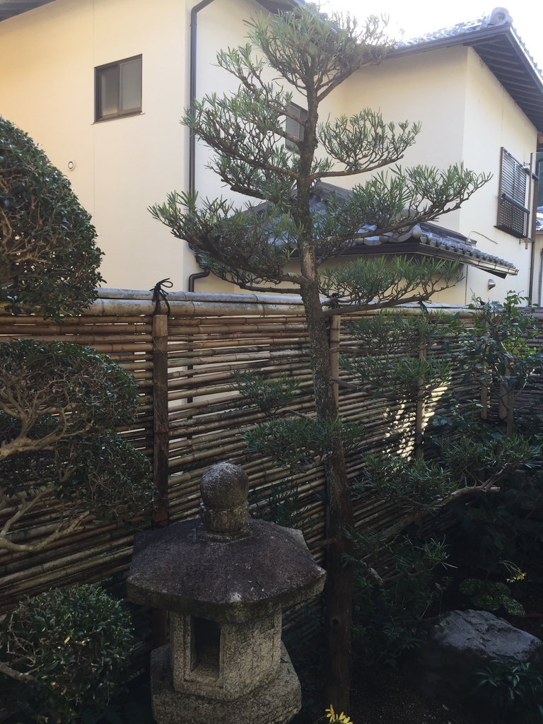 f:id:yukihatu:20181103044956j:plain