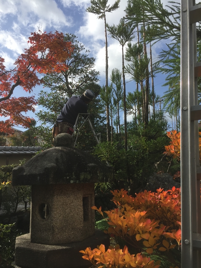 f:id:yukihatu:20181209053554j:plain