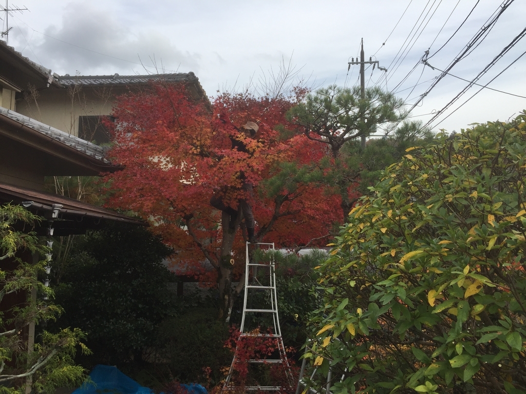 f:id:yukihatu:20181213045233j:plain