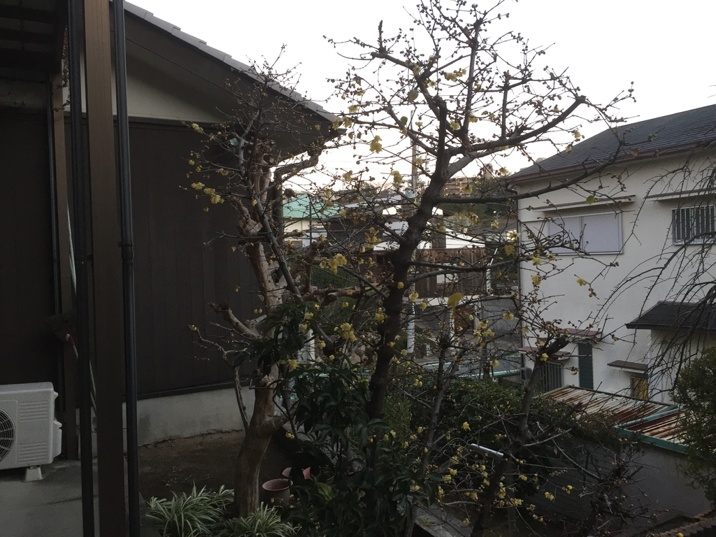 f:id:yukihatu:20181225051909j:plain