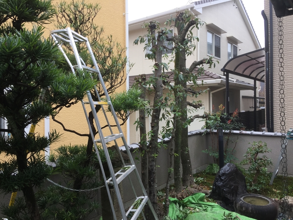 f:id:yukihatu:20181227062316j:plain