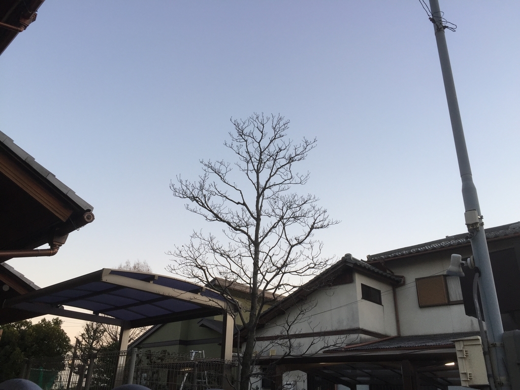 f:id:yukihatu:20181229062313j:plain