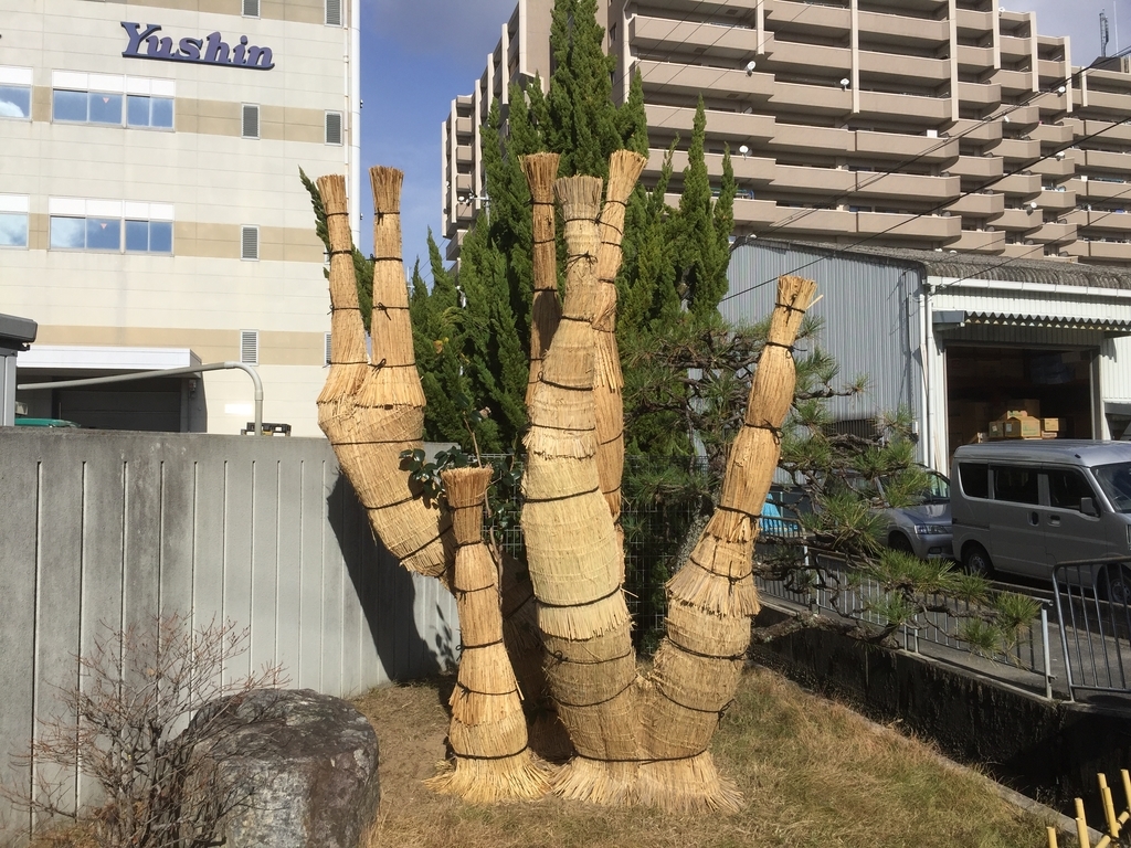 f:id:yukihatu:20181230233143j:plain