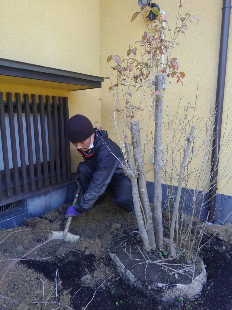 f:id:yukihatu:20190130215508j:plain