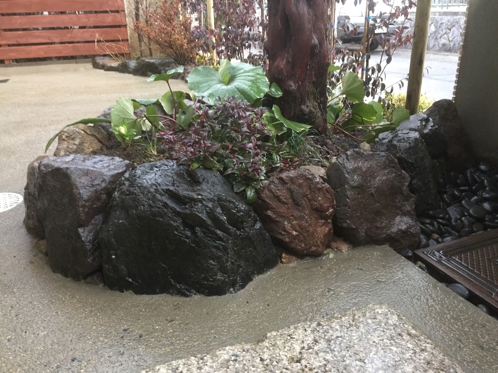 f:id:yukihatu:20190219074525j:plain