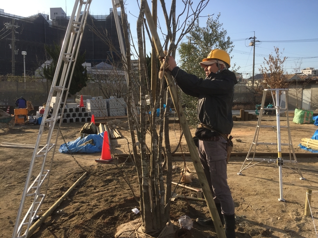 f:id:yukihatu:20190301061427j:plain