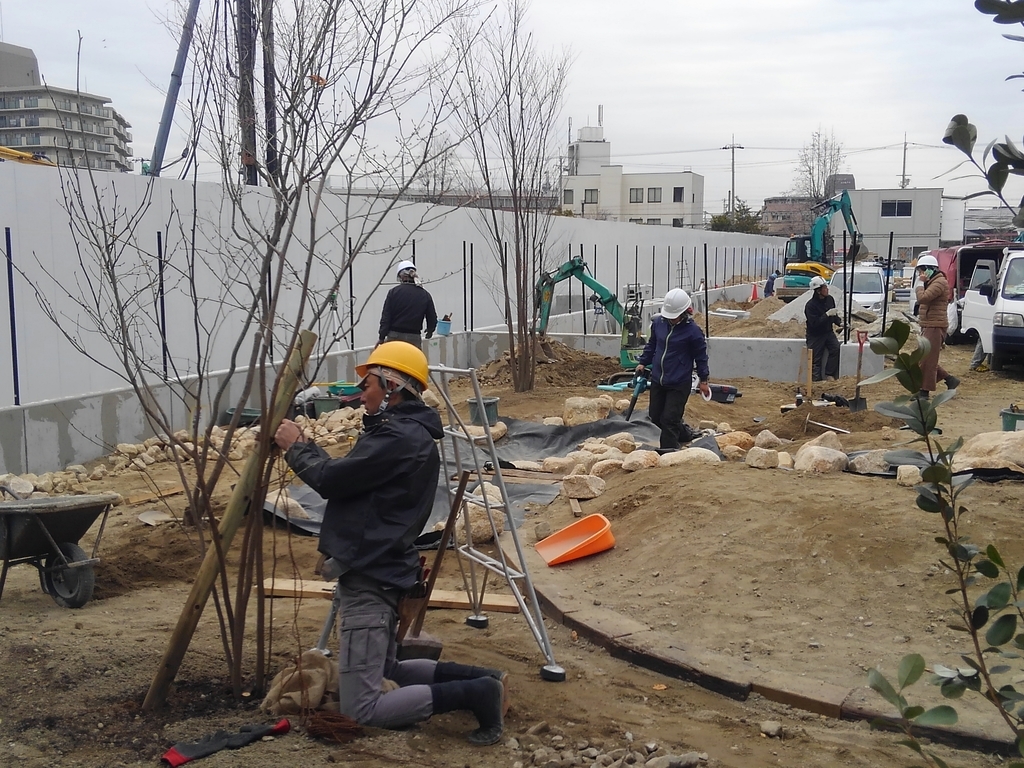 f:id:yukihatu:20190301061726j:plain