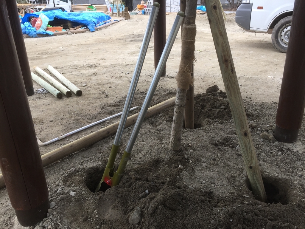 f:id:yukihatu:20190301061936j:plain