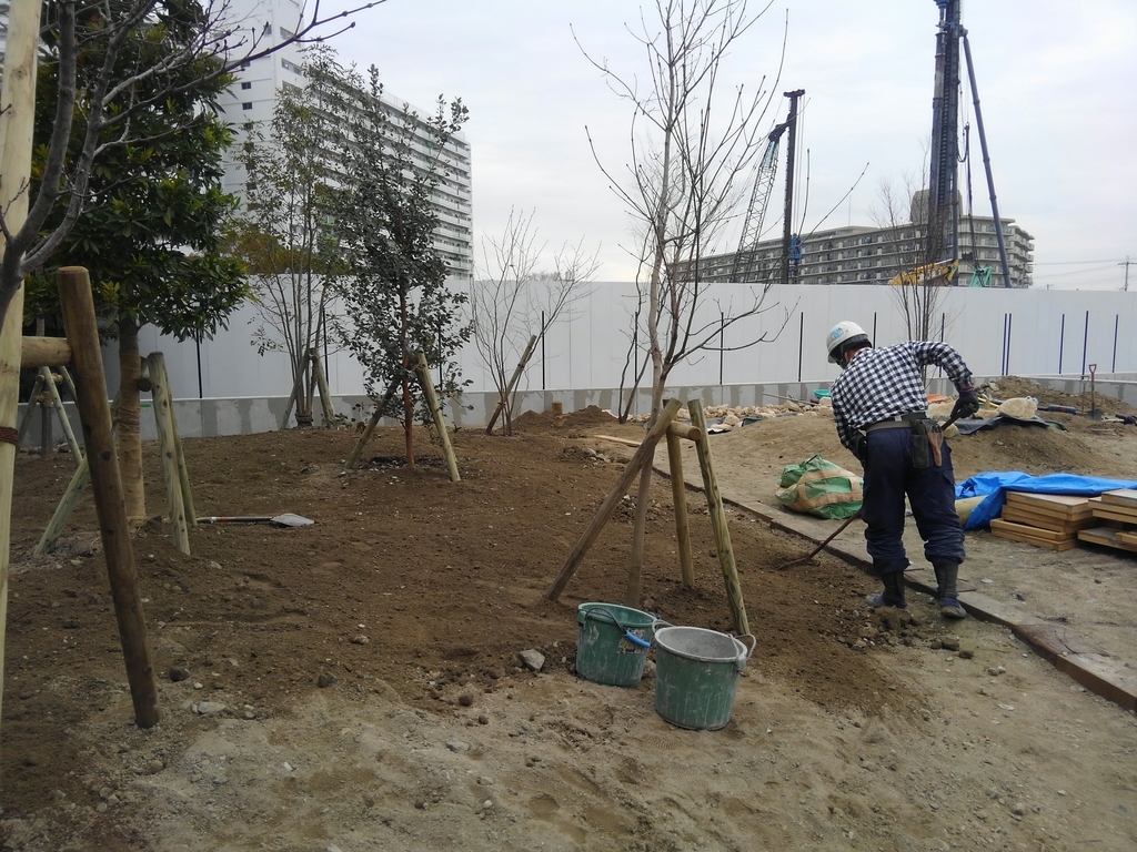 f:id:yukihatu:20190301062237j:plain