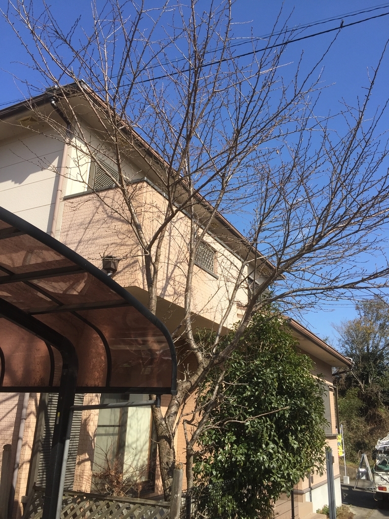 f:id:yukihatu:20190305225816j:plain f:id:yukihatu:20190305225816j:plain