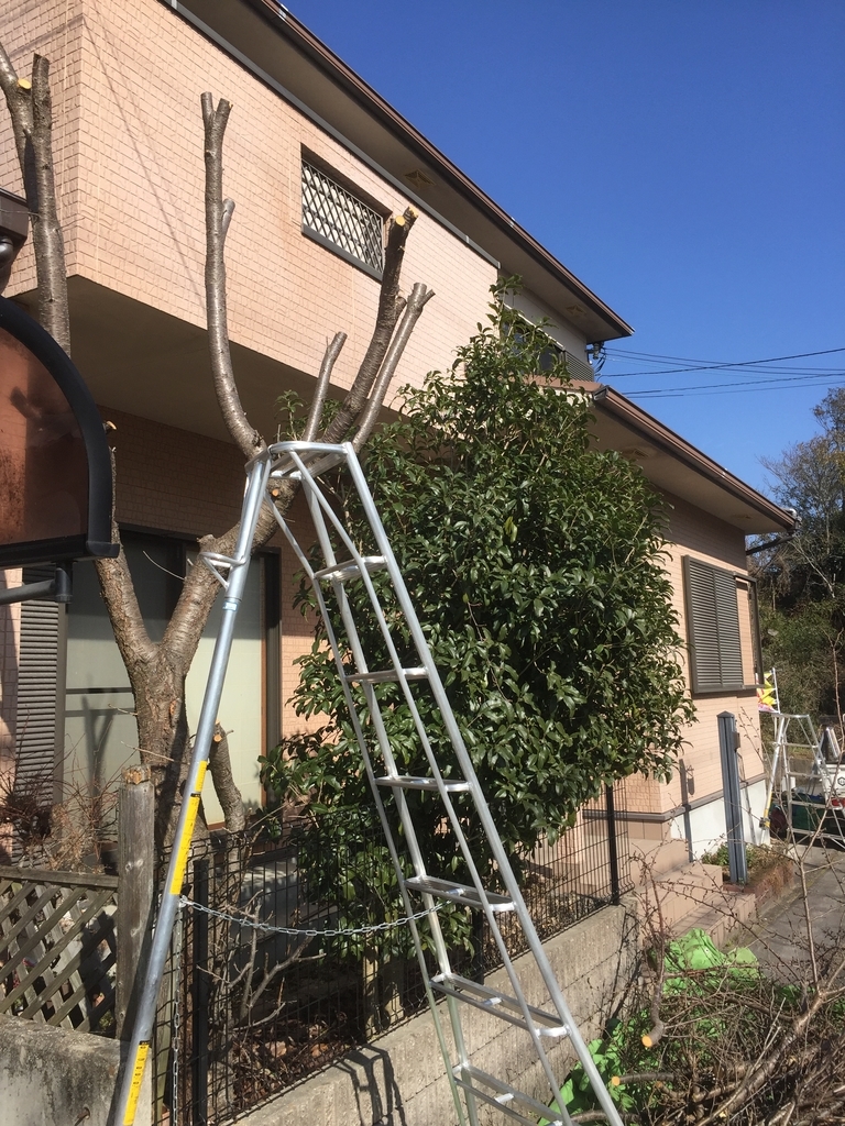 f:id:yukihatu:20190305230612j:plain f:id:yukihatu:20190305230612j:plain