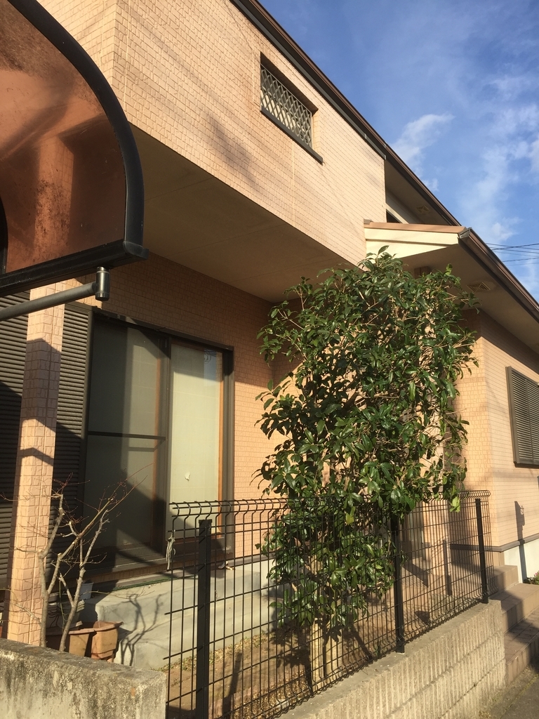 f:id:yukihatu:20190305230839j:plain f:id:yukihatu:20190305230839j:plain