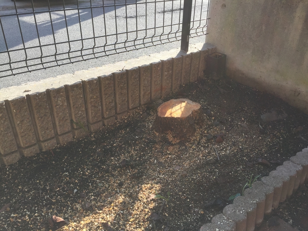 f:id:yukihatu:20190305231156j:plain f:id:yukihatu:20190305231156j:plain