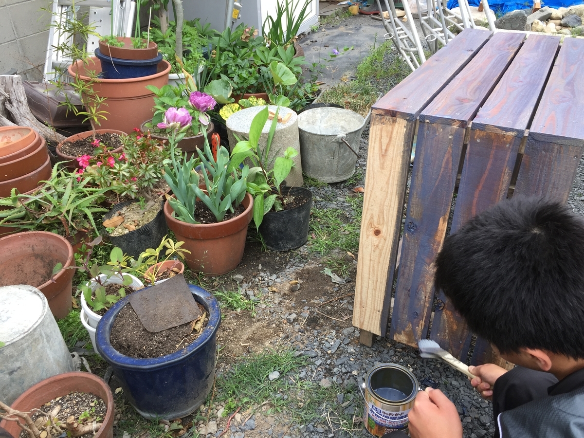 f:id:yukihatu:20190506112320j:plain