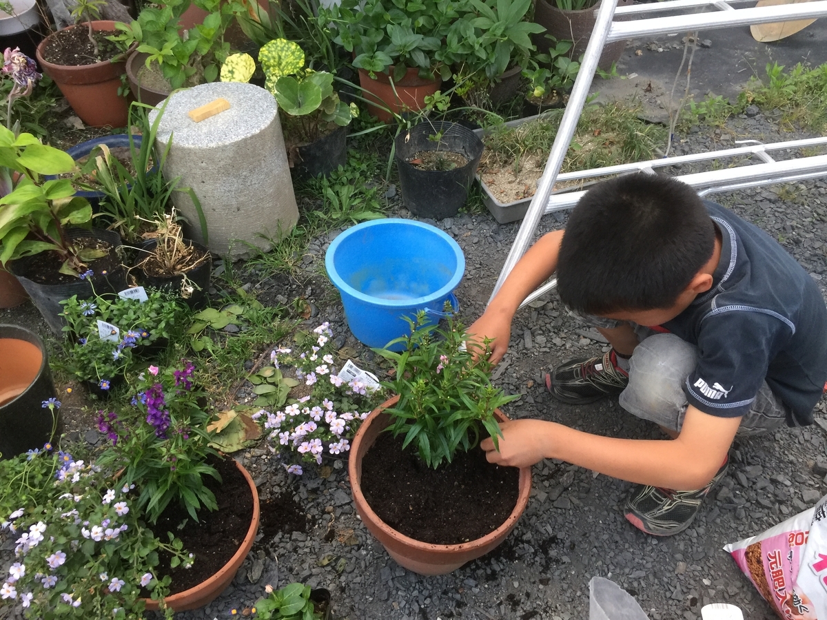 f:id:yukihatu:20190513051604j:plain