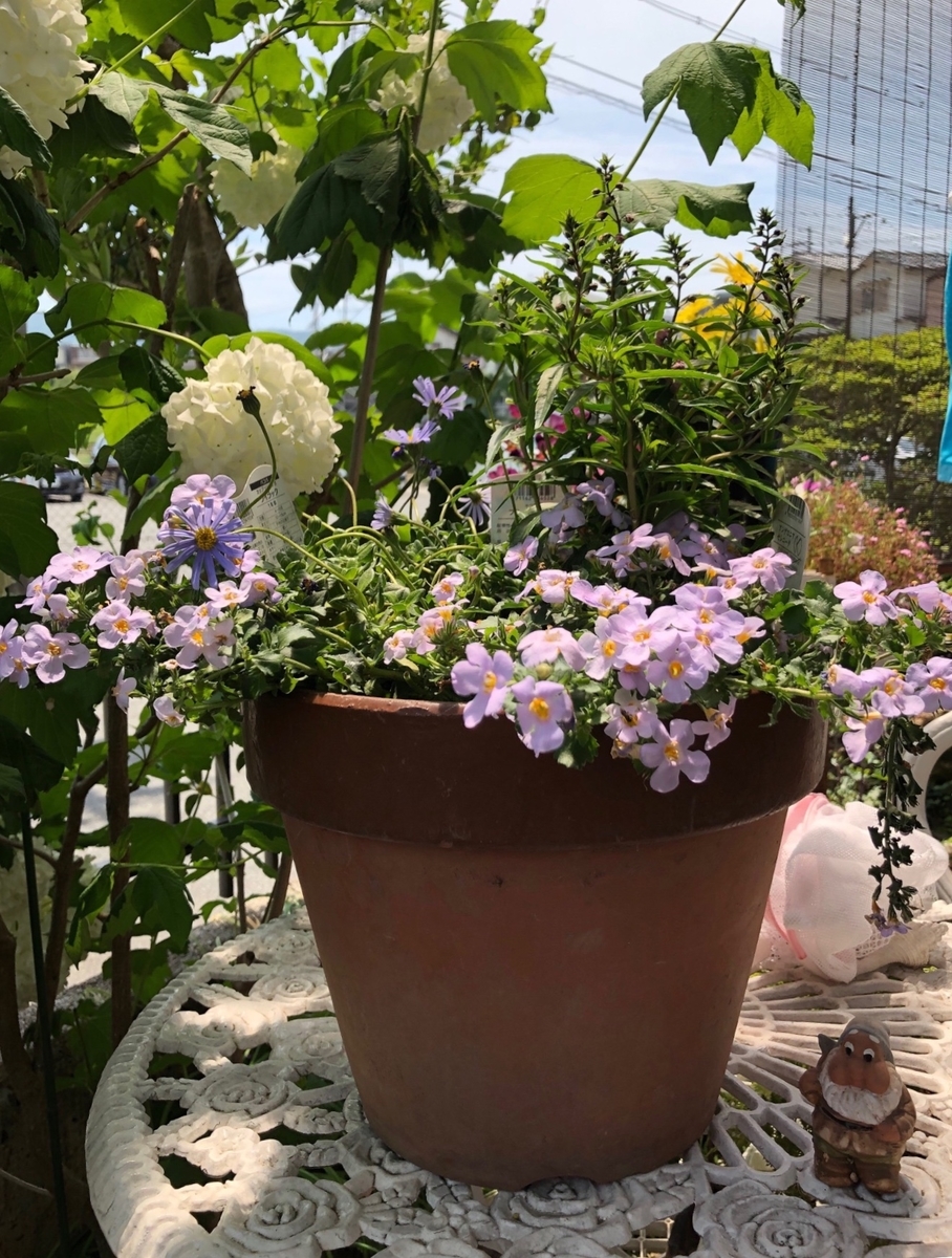 f:id:yukihatu:20190513052949j:plain